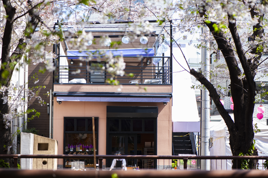 写真1