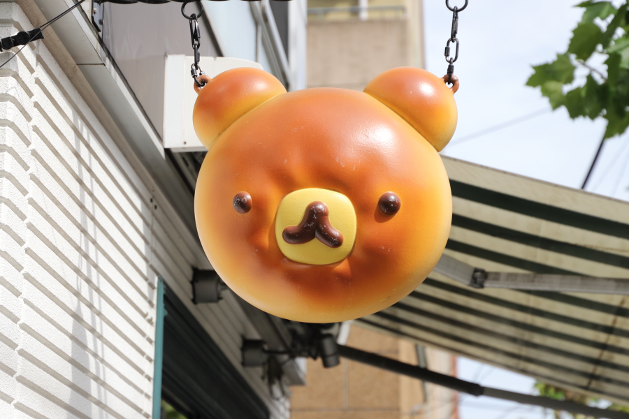 写真1